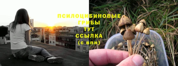 молекула духа Абаза