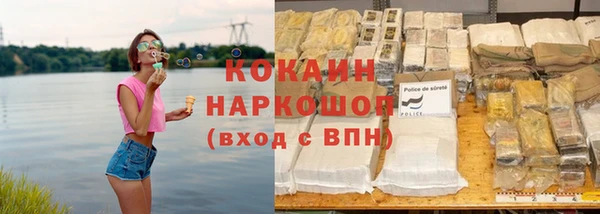 шишки Алексеевка