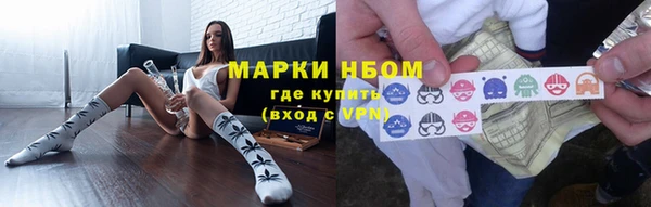 шишки Приозерск