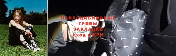 шишки Алексеевка