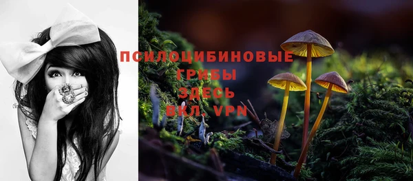 шишки Алексеевка