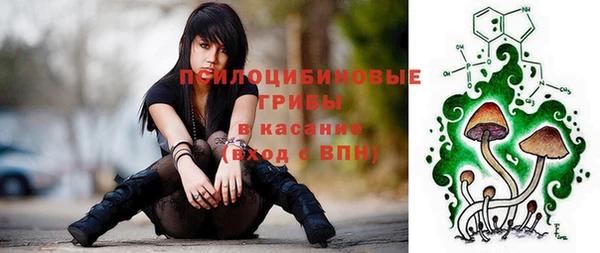 шишки Алексеевка