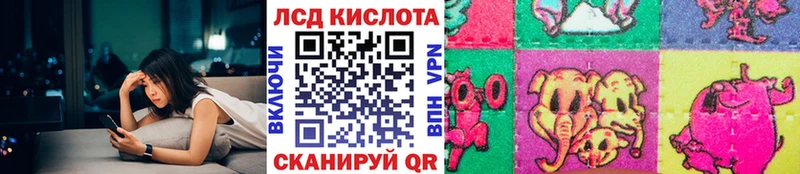 Наркотические марки 1500мкг  дарнет шоп  Губкин 