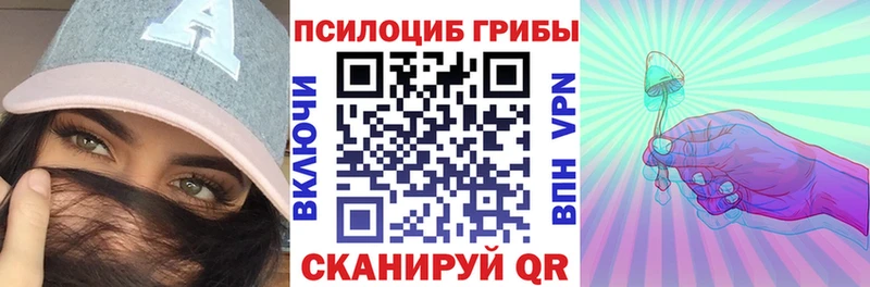 хочу наркоту  Губкин  Псилоцибиновые грибы Cubensis 